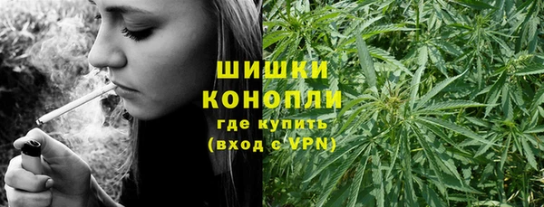 сатива Зеленокумск
