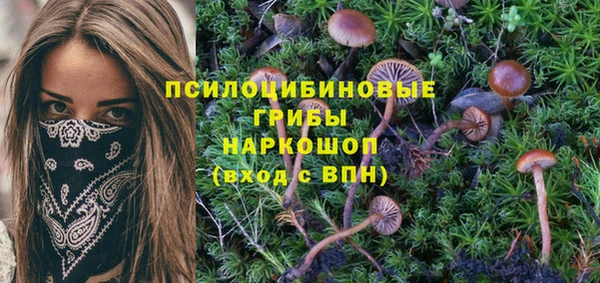 крисы Семилуки