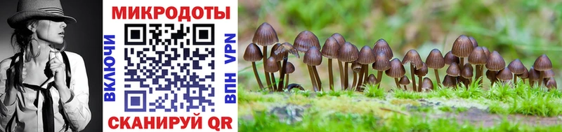 Псилоцибиновые грибы GOLDEN TEACHER  где продают наркотики  Завитинск 